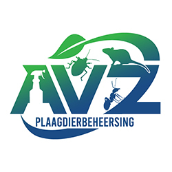 houtwormbestrijding-Cuijk